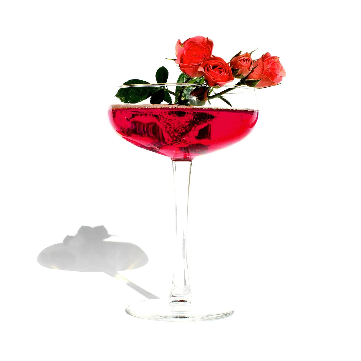 Curious No. 9 Curious Elixirs lifestyle — espumante rose artesanal NY Times Best NA Drinks botanicos organicos